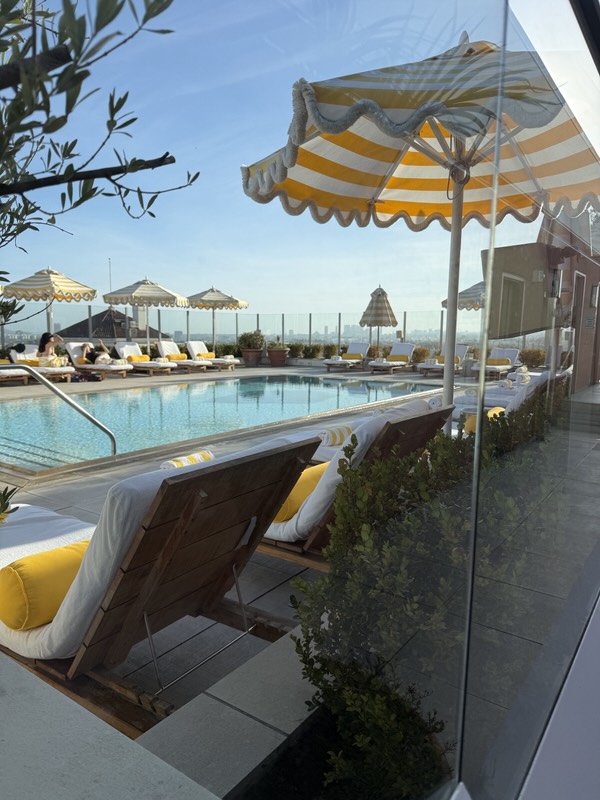 Pool auf dem Hoteldach