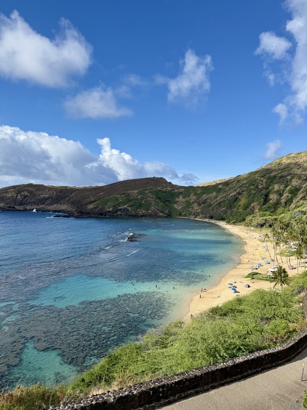 Türkises Wasser und Riff in der Hanauma Bay